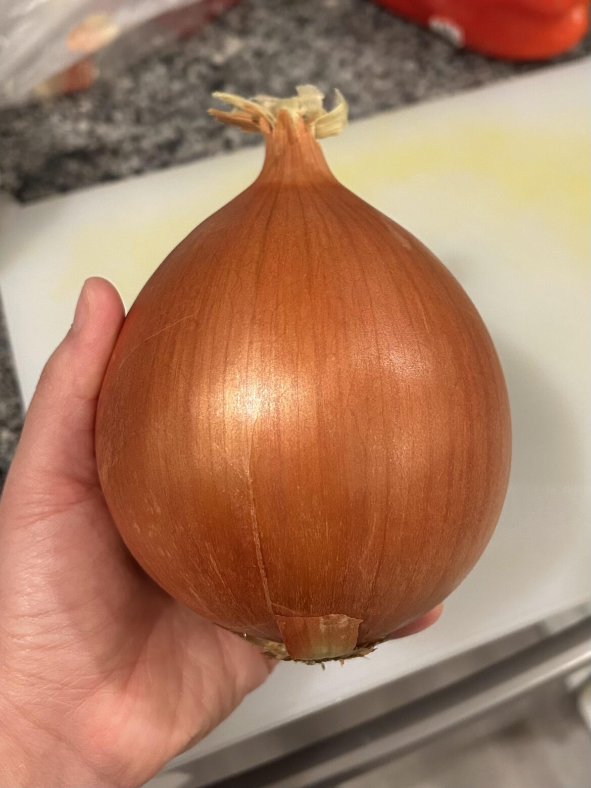 This beautiful giant onion gave me good luck
