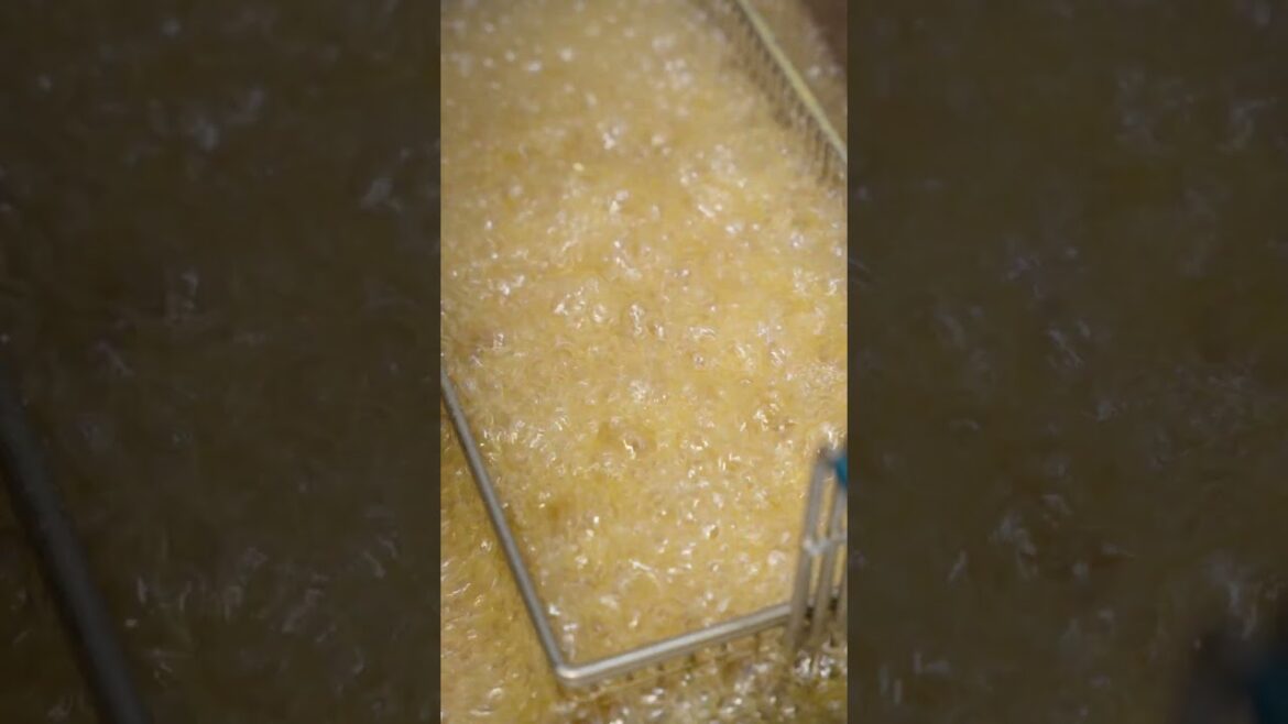 "Frying Calamari" Calamari King Video Series (7/100) - The Daily Catch