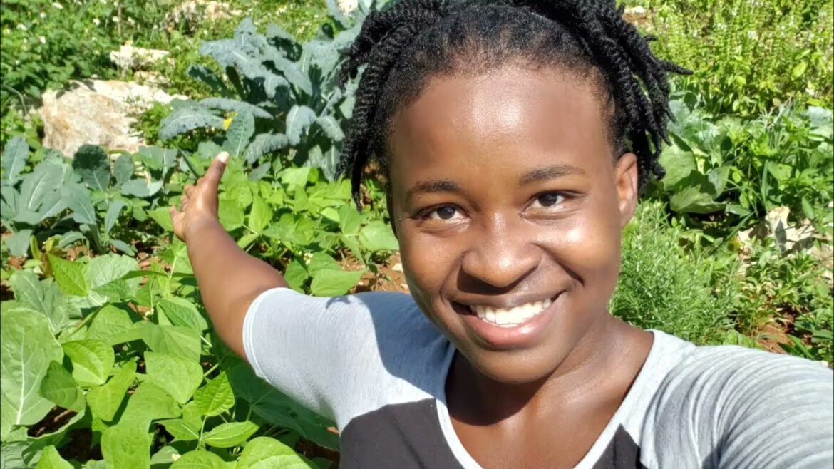 Epic Vegetable Garden Tour|May 2023|Jamaican Backyard Garden #homestead #gardentour #epic