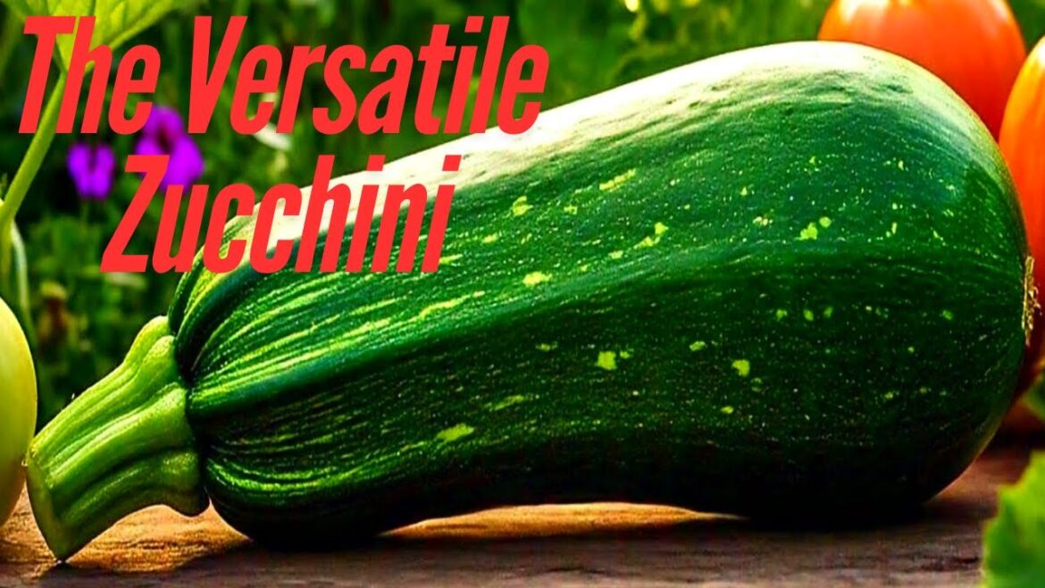 The Versatile Zucchini: A History Its Health Perks and Delicious Uses