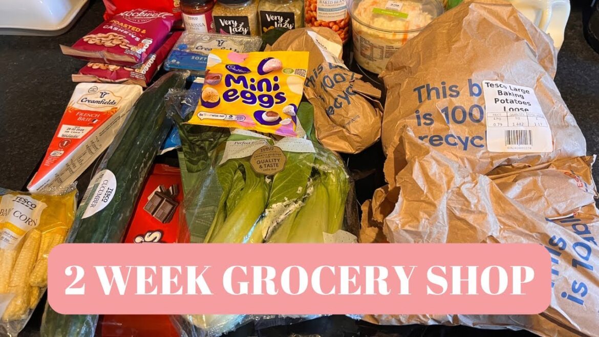 2 Week Grocery Shop | Healthy Eating | Single Adult 2 Week Grocery Shop | Healthy Eating | Single Adult