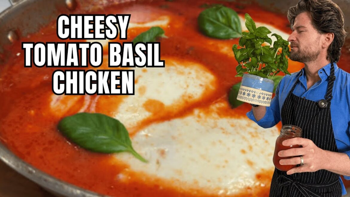 Cheesy Tomato Basil Chicken Recipe | Easy & Authentic Pollo alla Pizzaiola Cheesy Tomato Basil Chicken Recipe | Easy & Authentic Pollo alla Pizzaiola