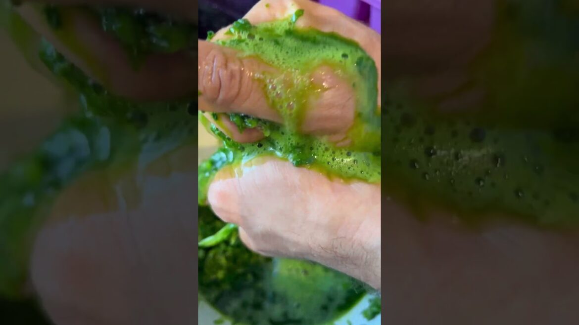 فطاير اللحمة وسبانخ الشيف علي سيد، meat and spinach fatayer chef Ali Sayed فطاير اللحمة وسبانخ الشيف علي سيد، meat and spinach fatayer chef Ali Sayed