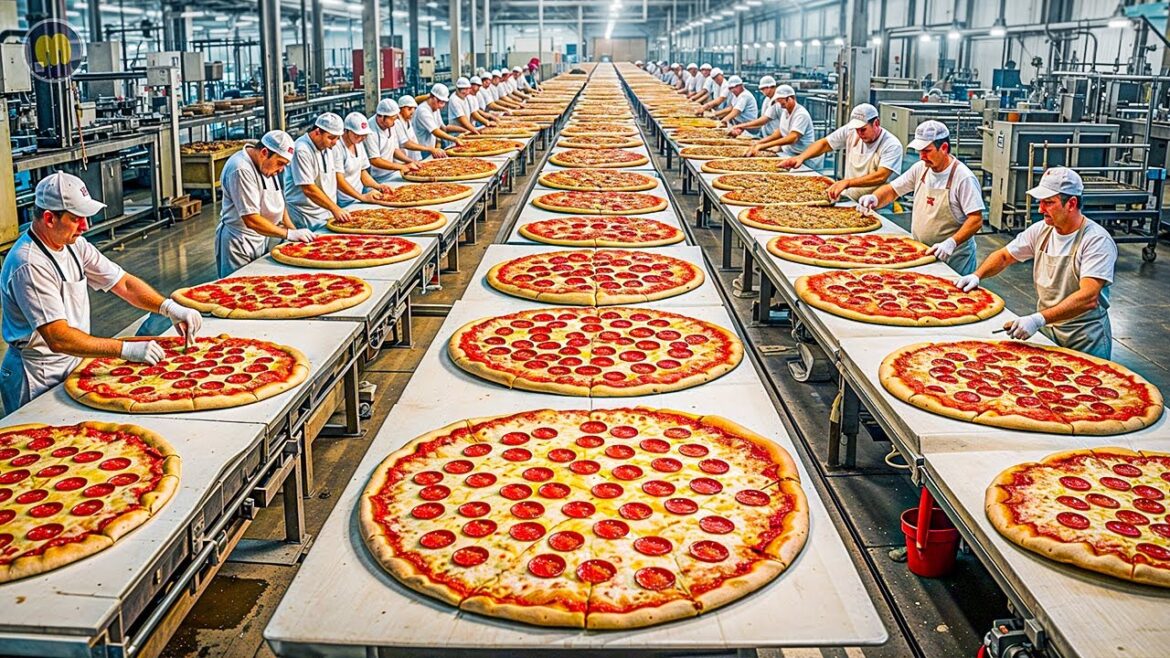 How Frozen Pizza is Made in Factory | Frozen Pizza Factory Process How Frozen Pizza is Made in Factory | Frozen Pizza Factory Process