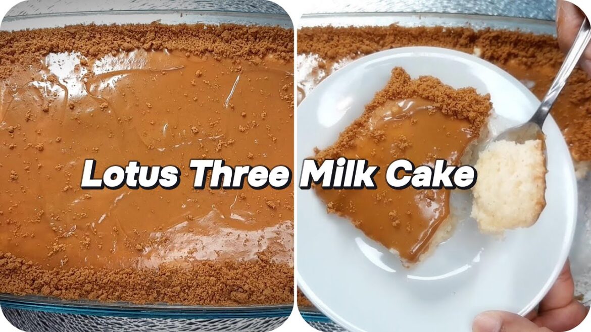 Lotus Three Milk Cake Recipe by DelishEssen | Tres Leches Cake Lotus Three Milk Cake Recipe by DelishEssen | Tres Leches Cake