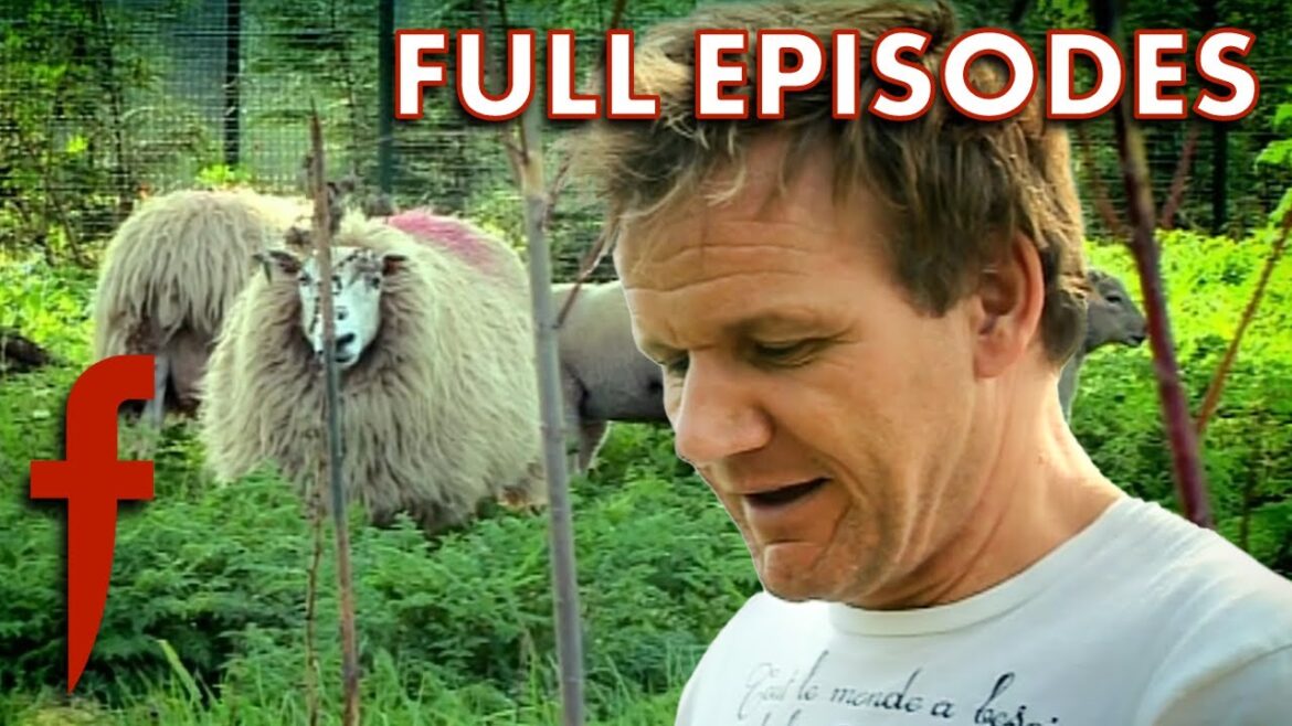 Victoria and David Beckham Save Gordon Ramsay's Lambs | Full Episodes | The F Word