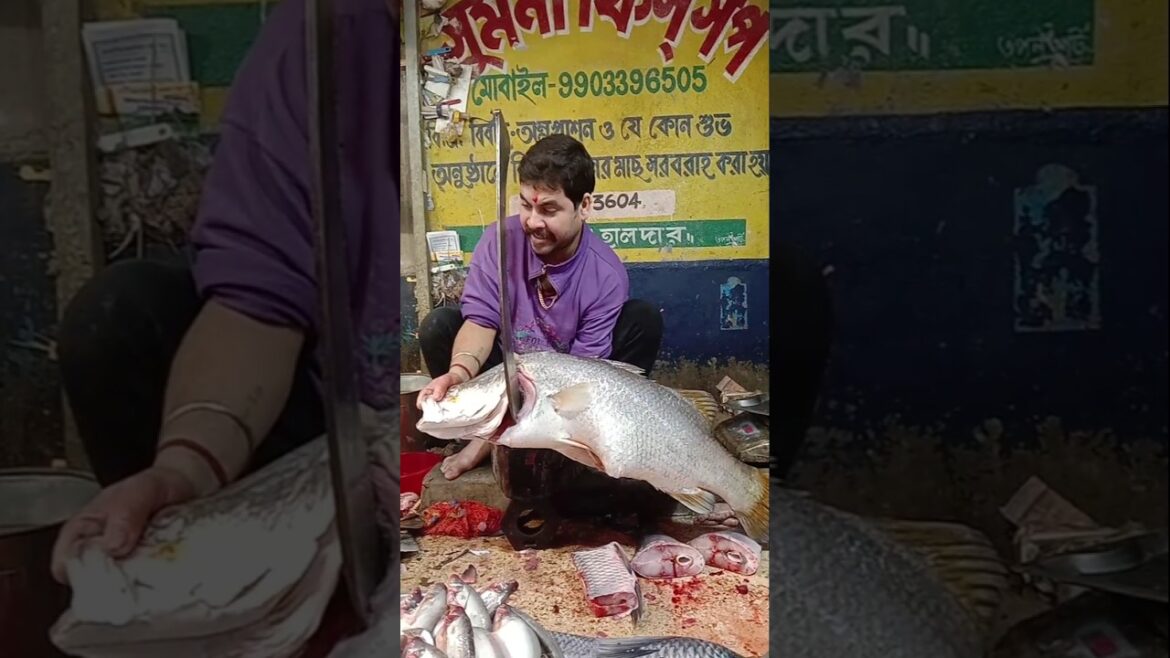 Bhetki Fish Cutting |Bhetki fish cutting Skills |Bhetki fish cutting kalkata|
