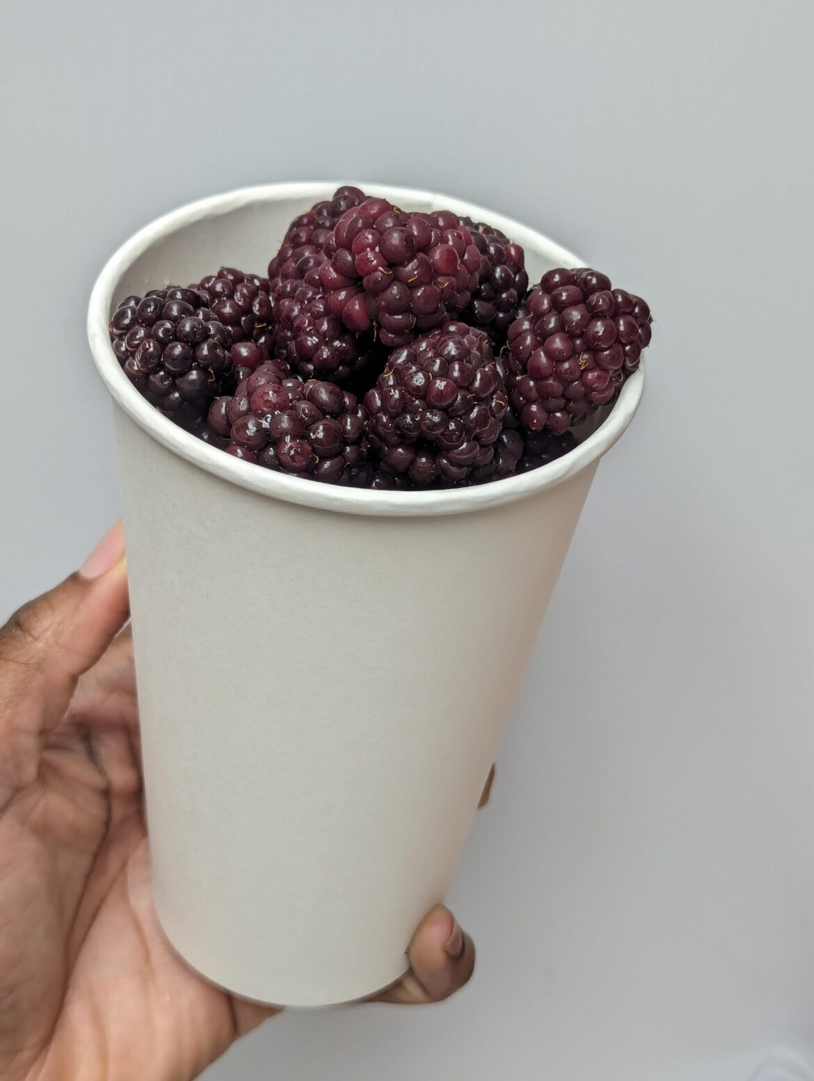 Big ol cup of blackberries