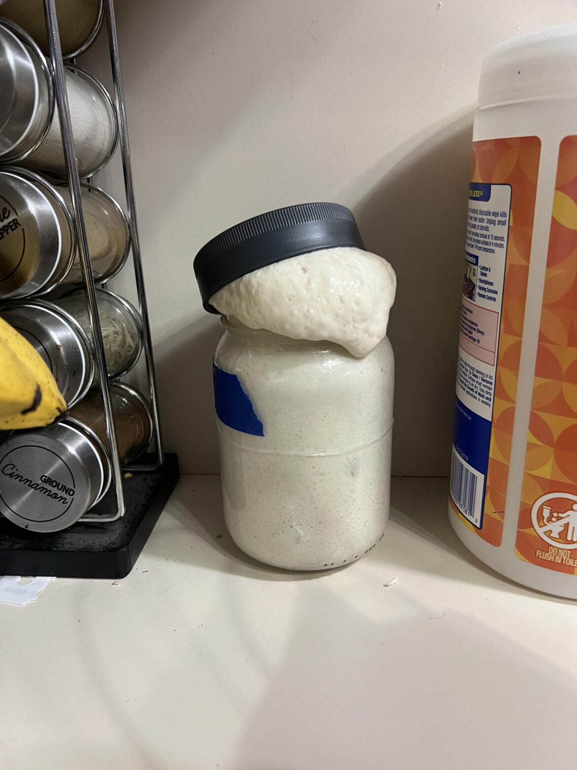 I’ve only fed this thing once I’ve only fed this thing once