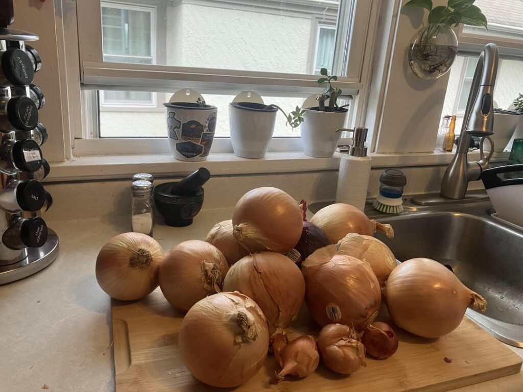 My French Onion Soup