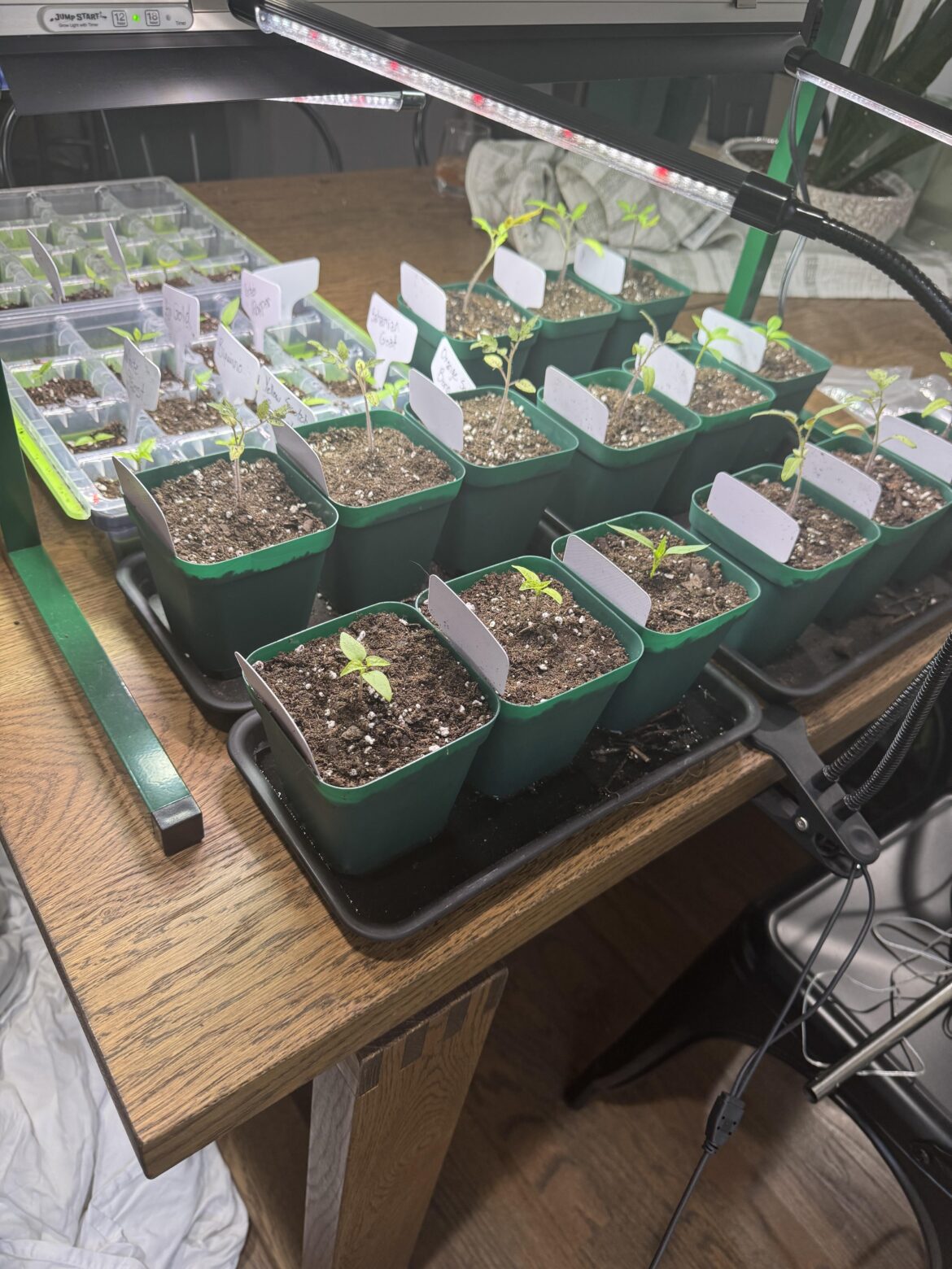 Feedback welcome Feedback welcome