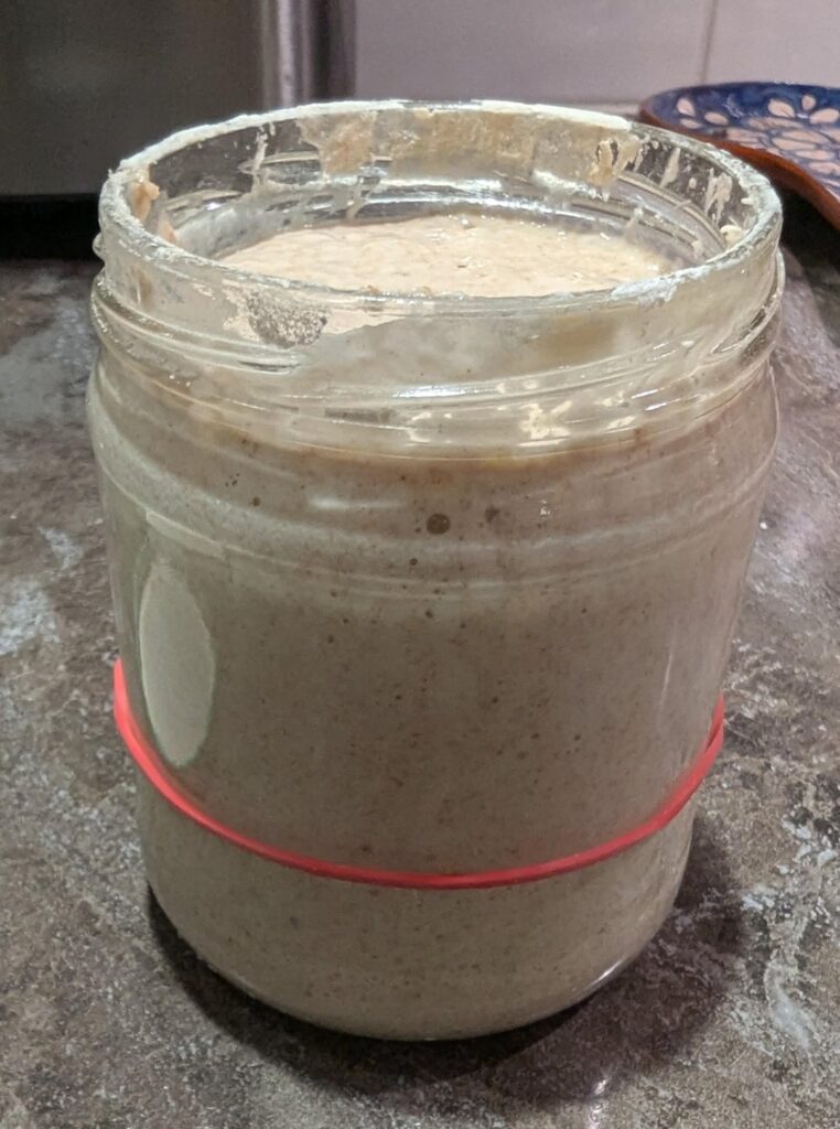 My friend gave me some 700 y/o starter, and damn was it active!