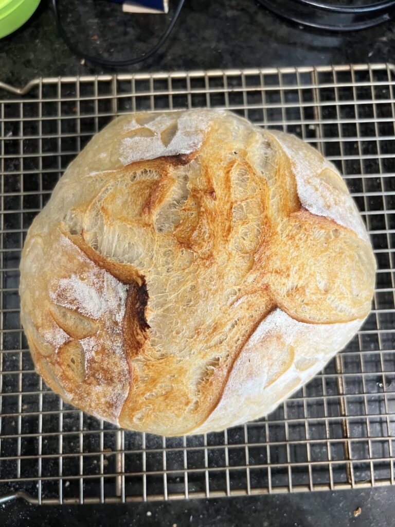 My 5th loaf. Did I get it?