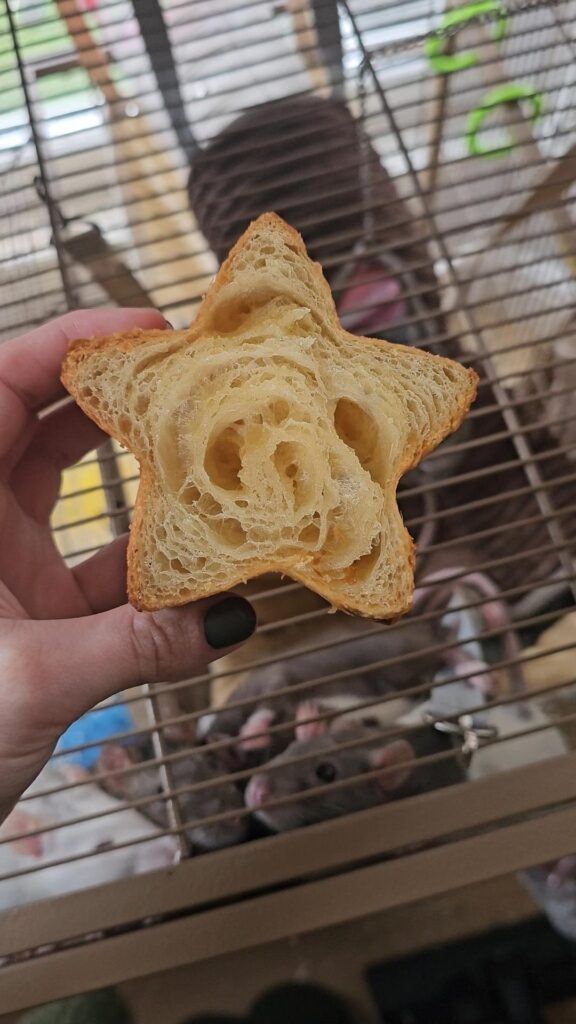 Croissant star and heart