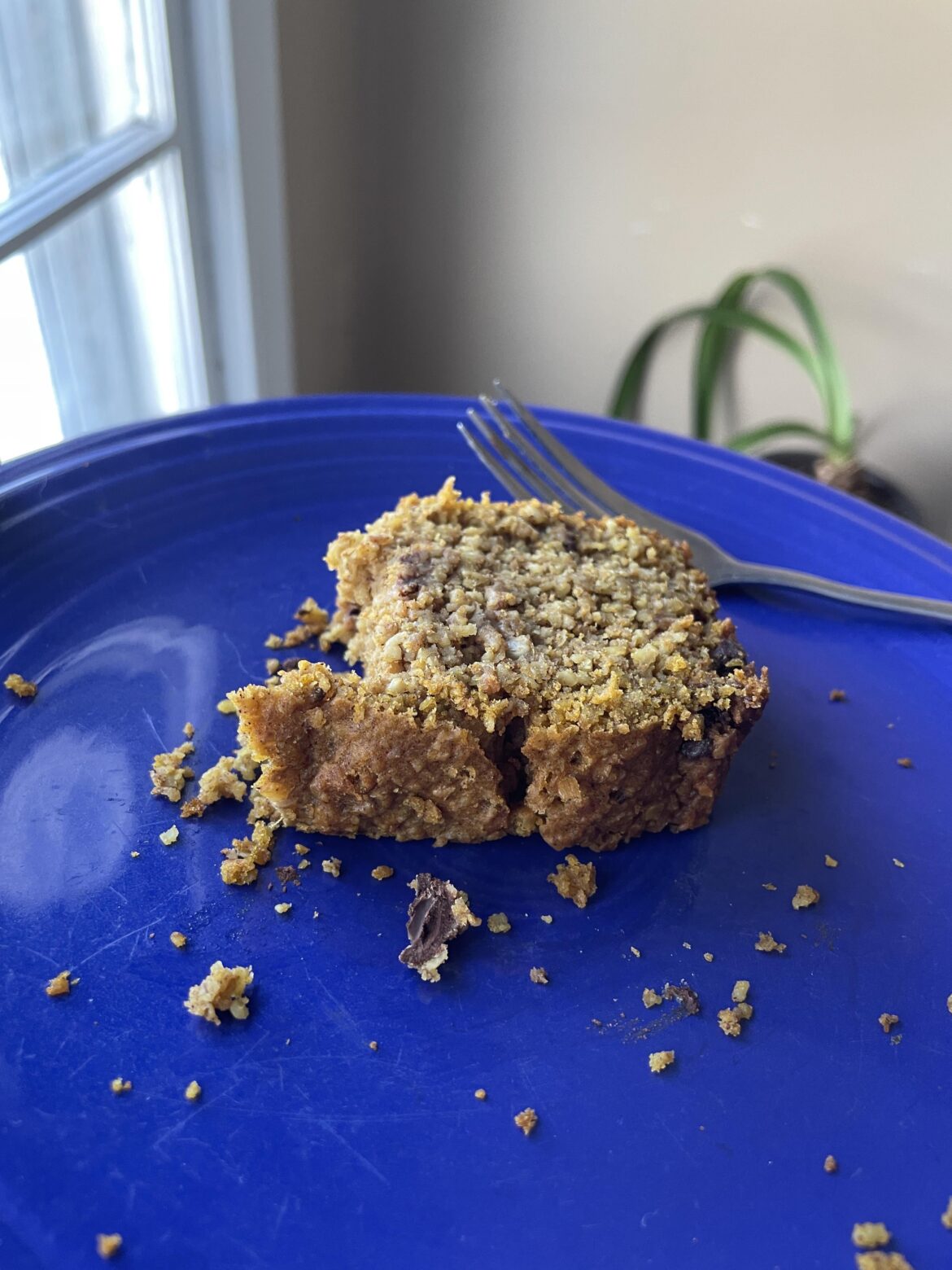 Oat Pumpkin Bread