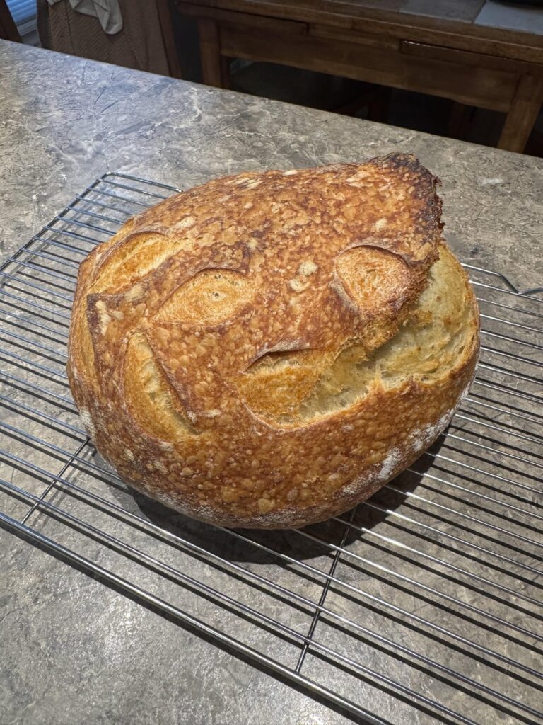 Made my first ever sourdough today!