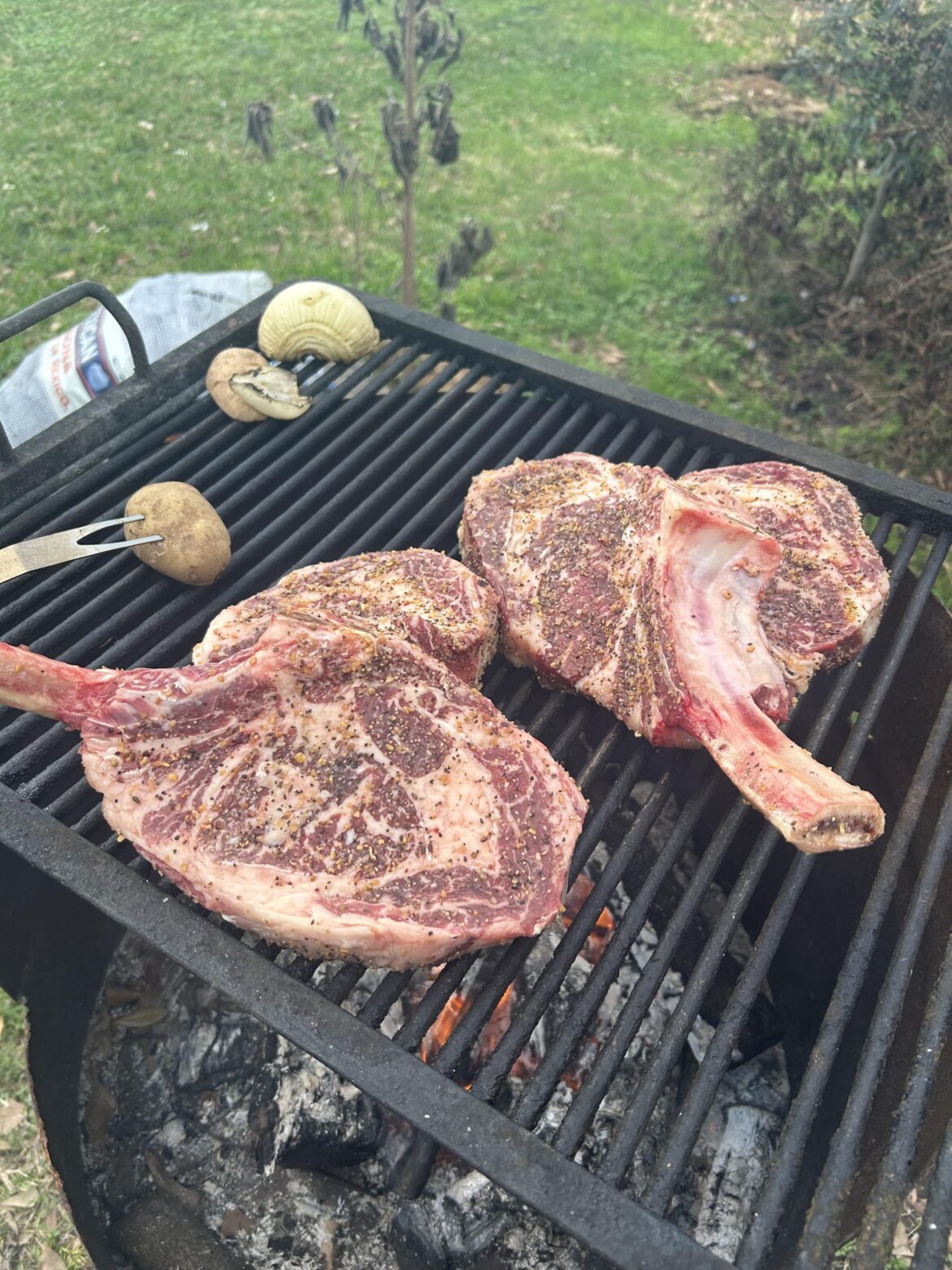 Some Tuesday steaks