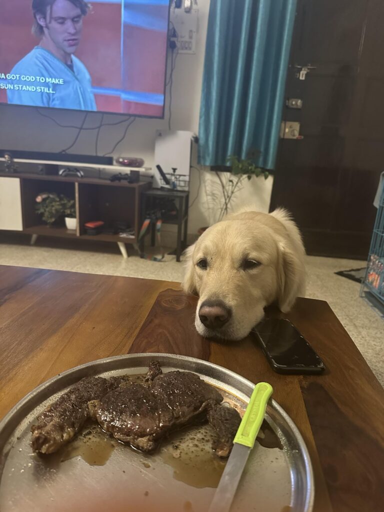 Can I please have your ribeye?