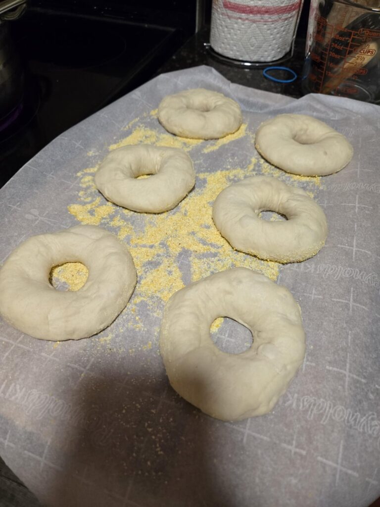 Made bagels for the first time.