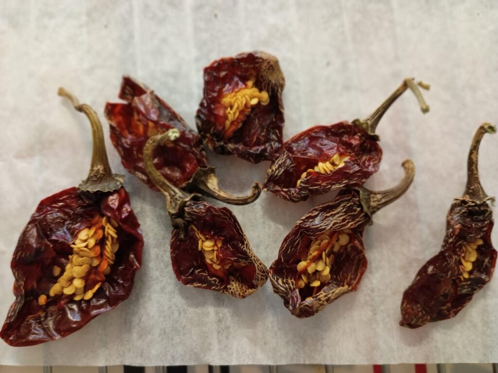 From the garden in Malaga...