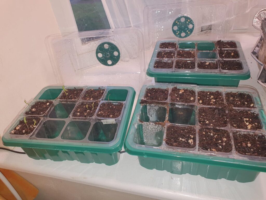 Here we go again! +Anybody seen this before?