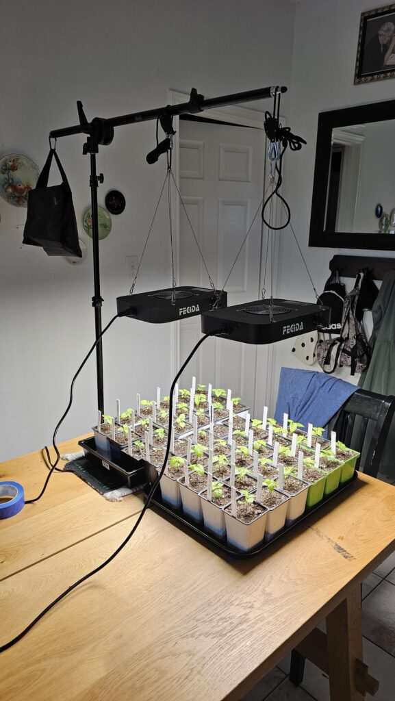 If it works, it works