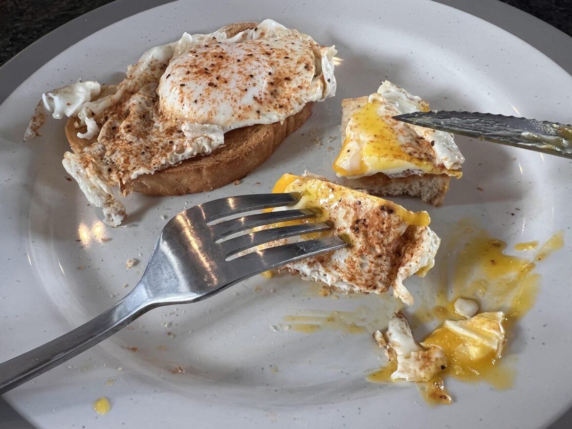 Enjoying my $6CDN/Doz ($4.22USD) eggs while signing a petition to revoke Elon’s citizenship.