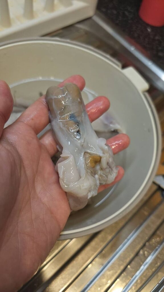 Octopus roe and orange matter? Octopus roe and orange matter?