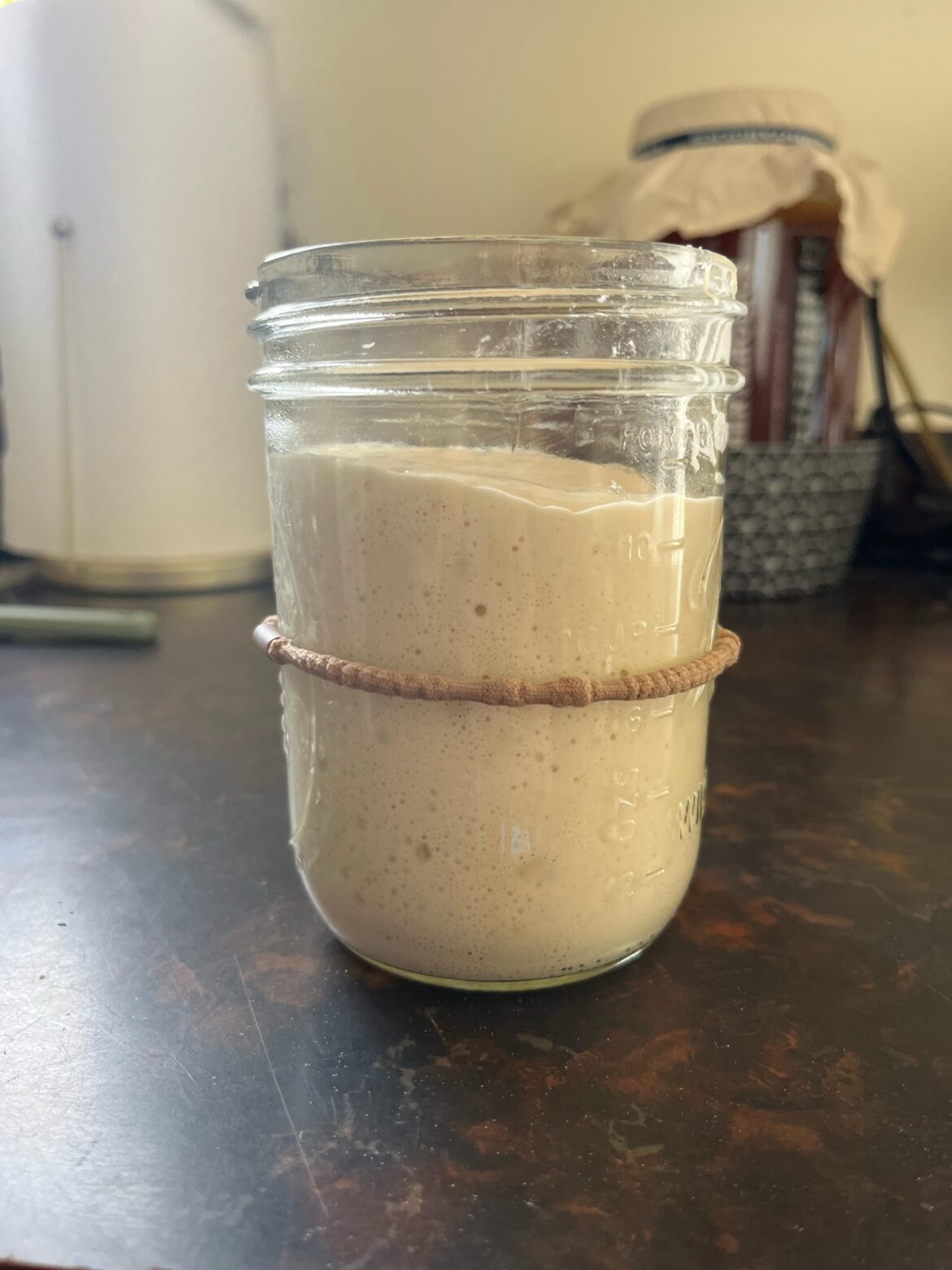 My fiancés starter 3 hours after she fed it