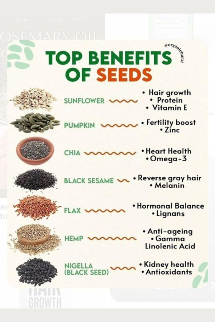 Top benifits of seeds
