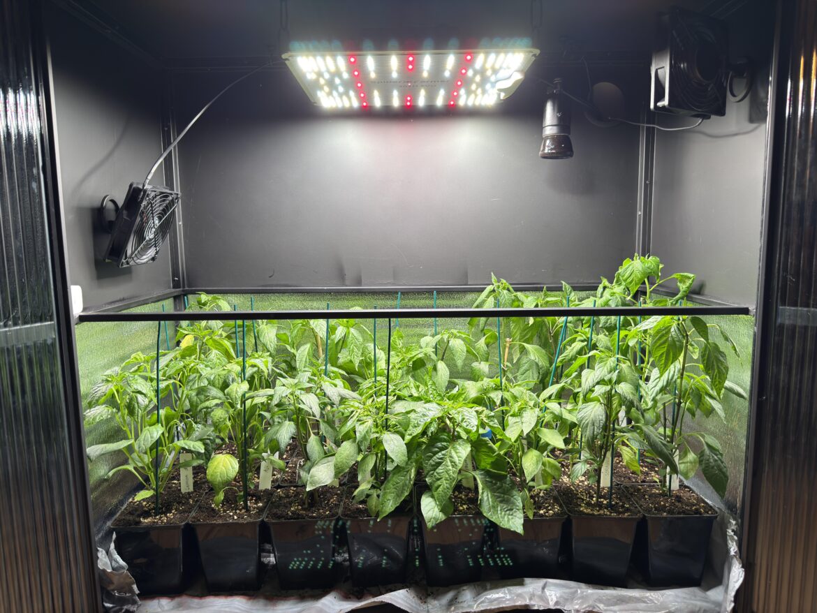 Very satisfying how 24 containers exactly fit in my grow cabinet