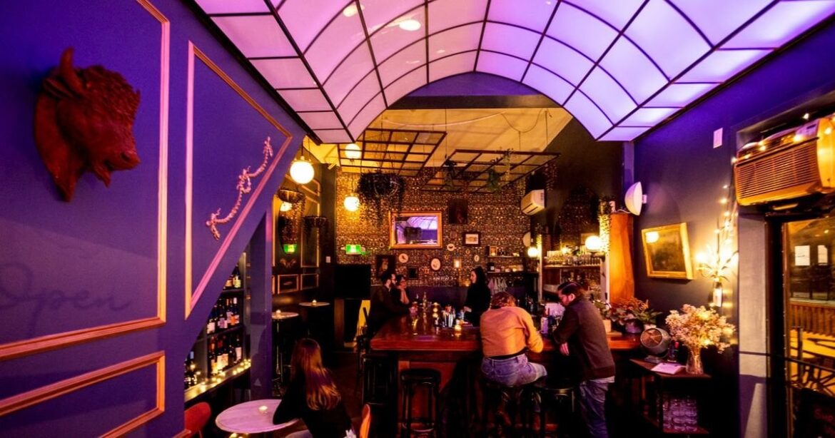 Shrinking Violet: cocktail and natural wine bar in Bloorcourt