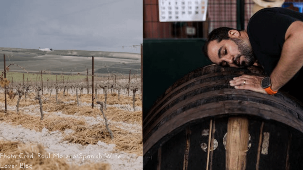 Raul Moreno, The Alchemist of Andalucia