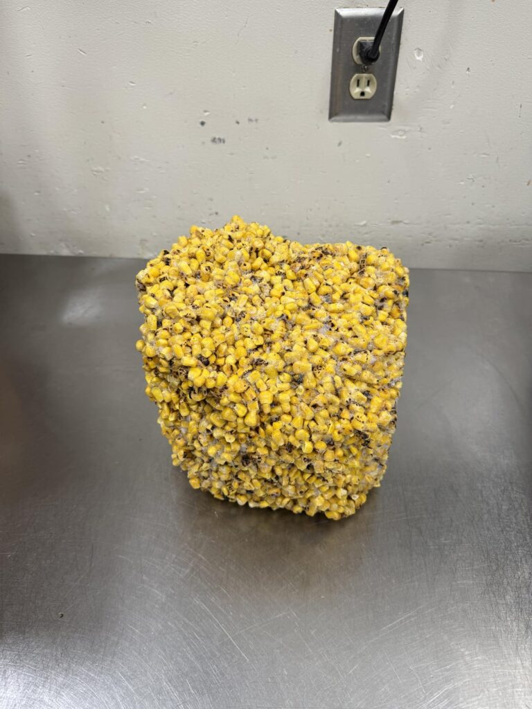 All Hail The Corn Cube