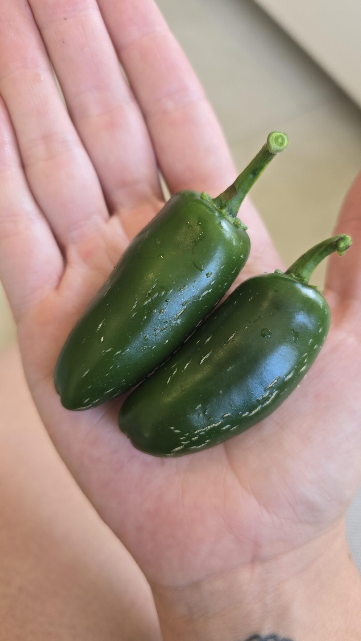 Variety help Variety help