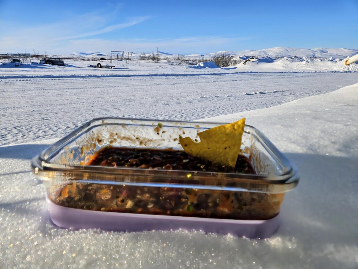 El Pato goes to the tundra