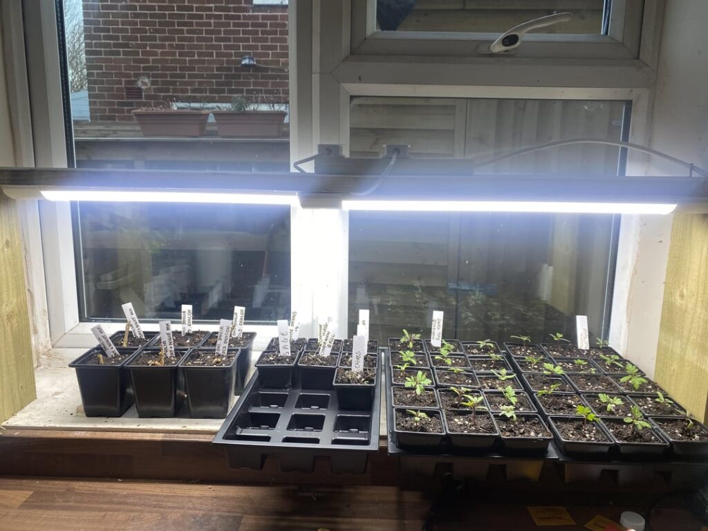 Is this setup suitable? Is this setup suitable?