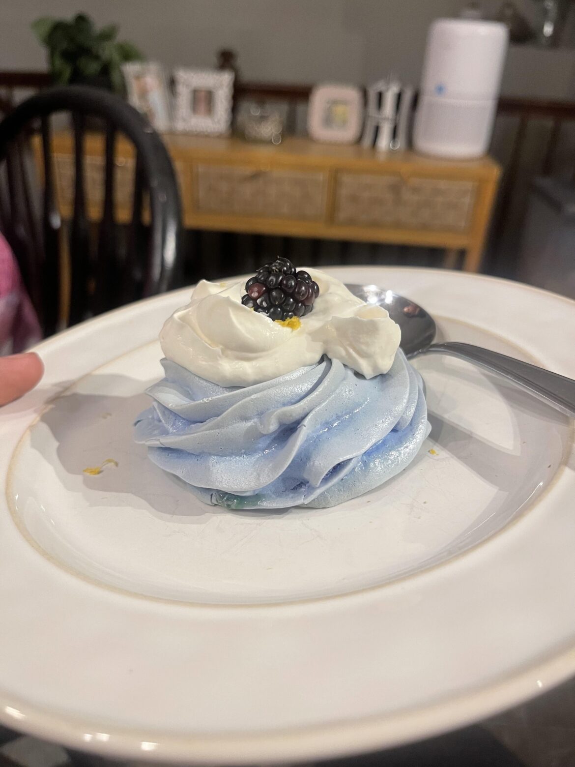 Wife’s first attempt at making pavlova (lemon/blackberry) after seeing it on Bluey. Homemade jam and homemade whipped topping.