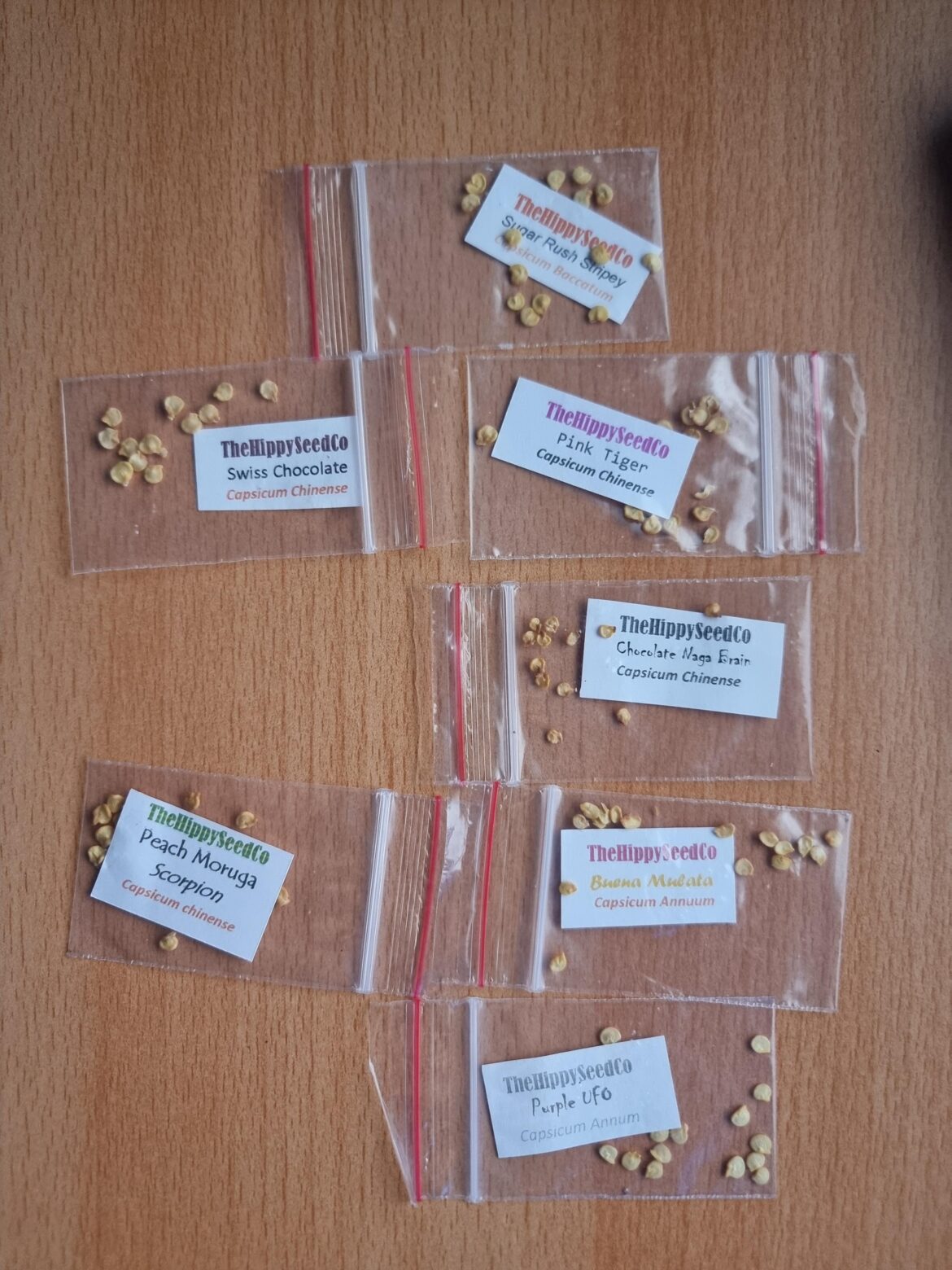 This Year Seed Selection