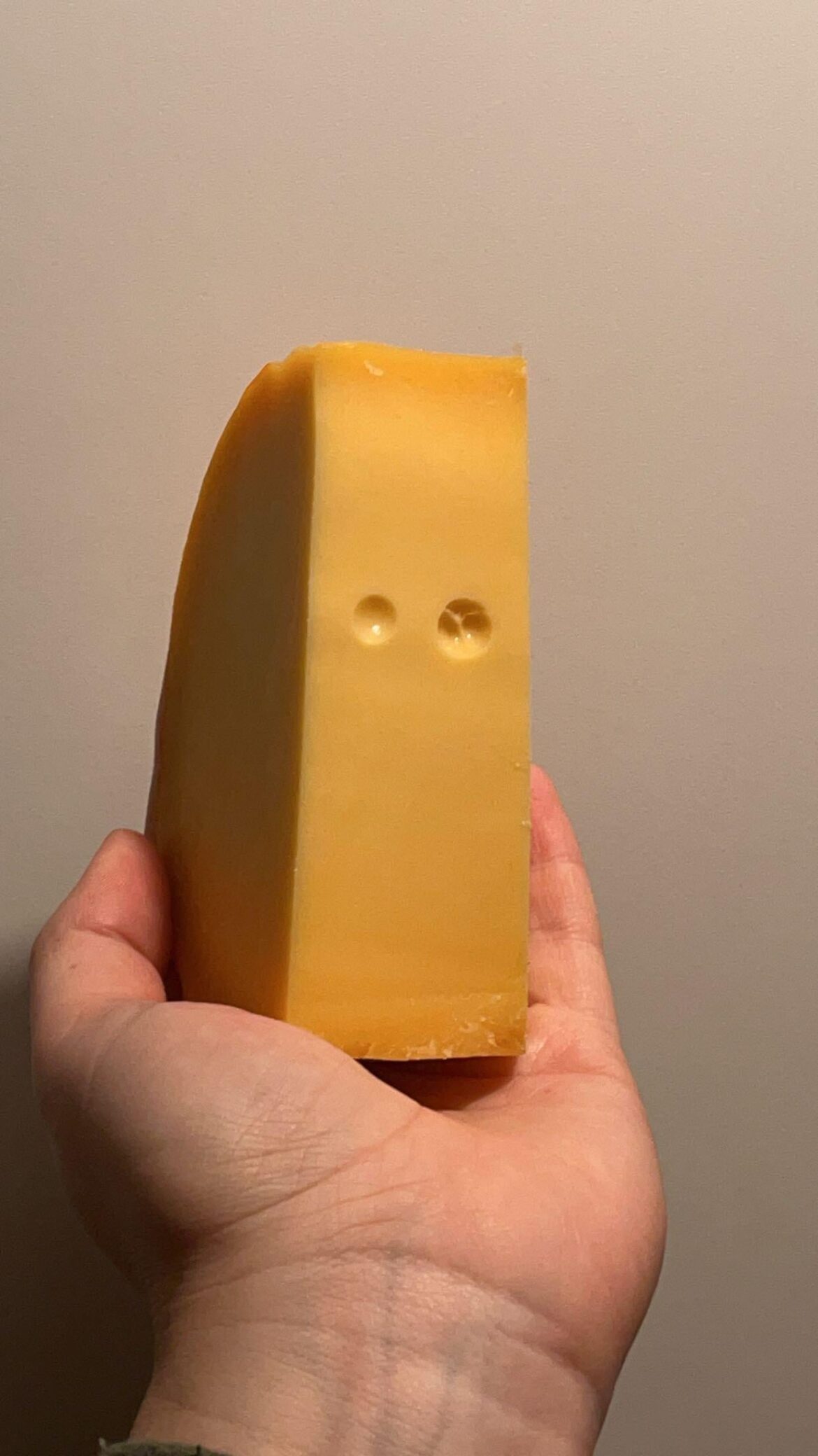 Plank from Ed, Edd and Eddy but it’s cheese