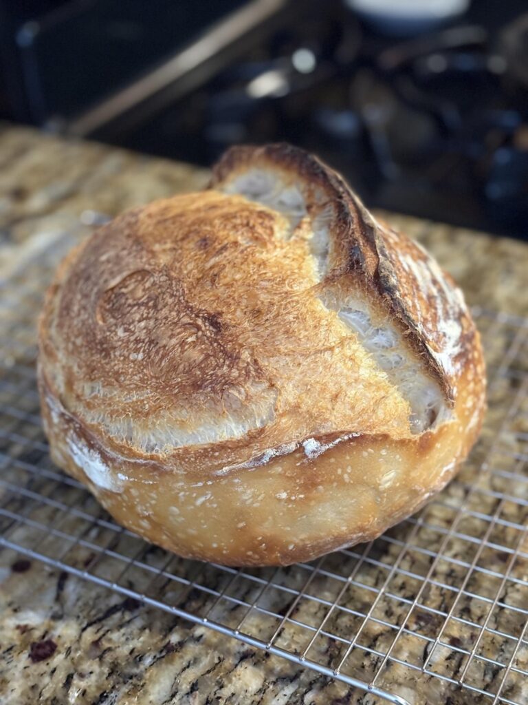 Finally got my first ear