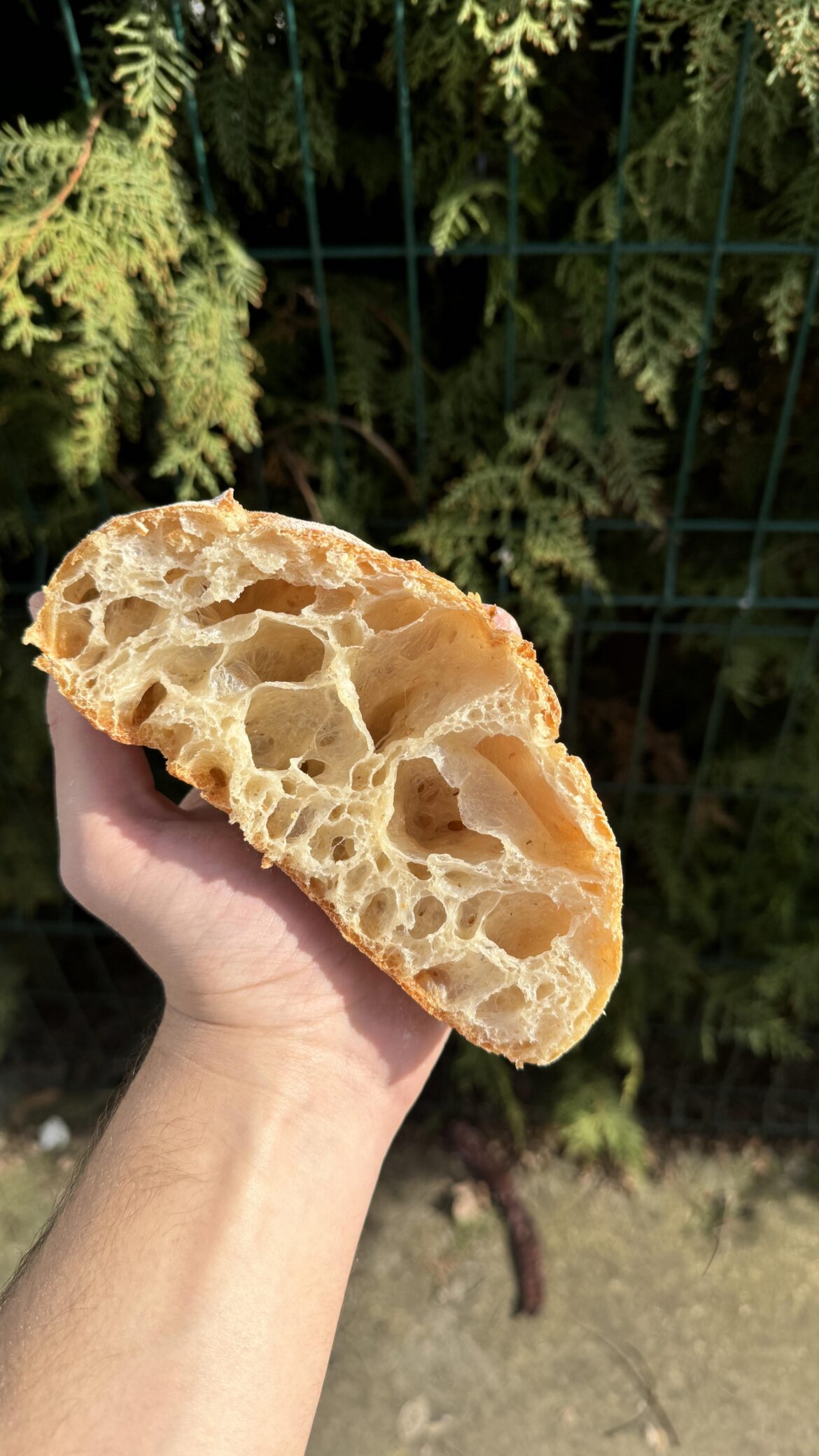 This is the result of my post about the gluten structure 🥖🥖