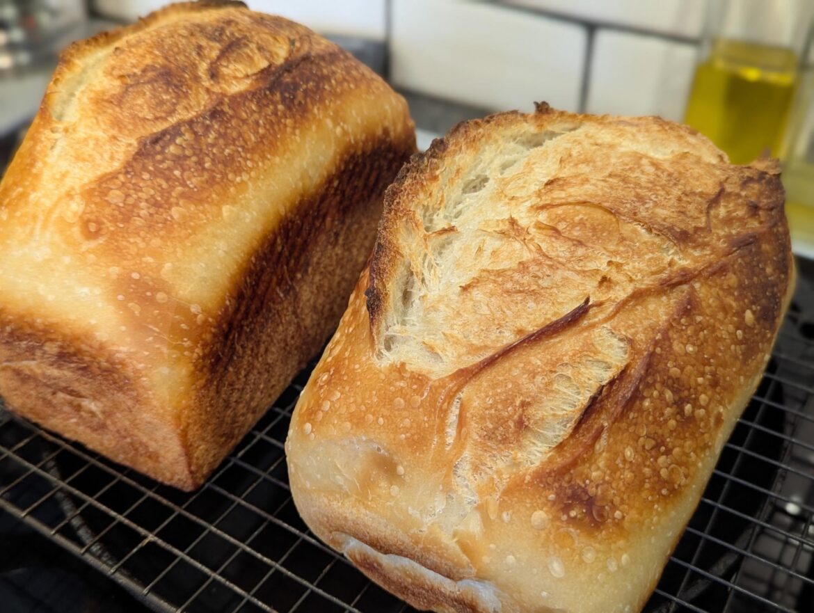 First time doing sourdough in a bread pan