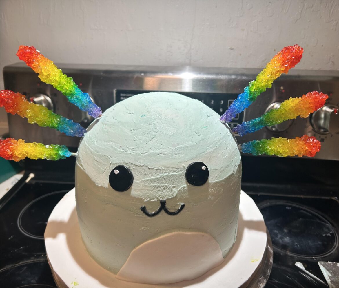 Axolotl cake for a demanding 7 yr old.