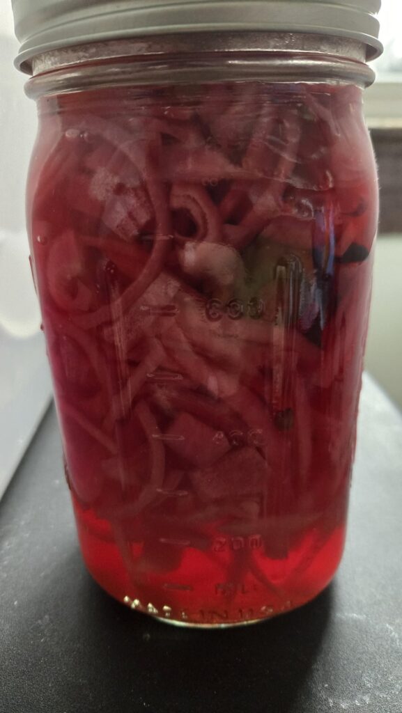 Update on the Carolina reaper pickled onions. Update on the Carolina reaper pickled onions.