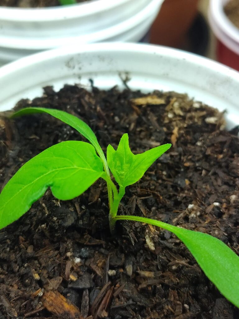 Interesting Start Interesting Start