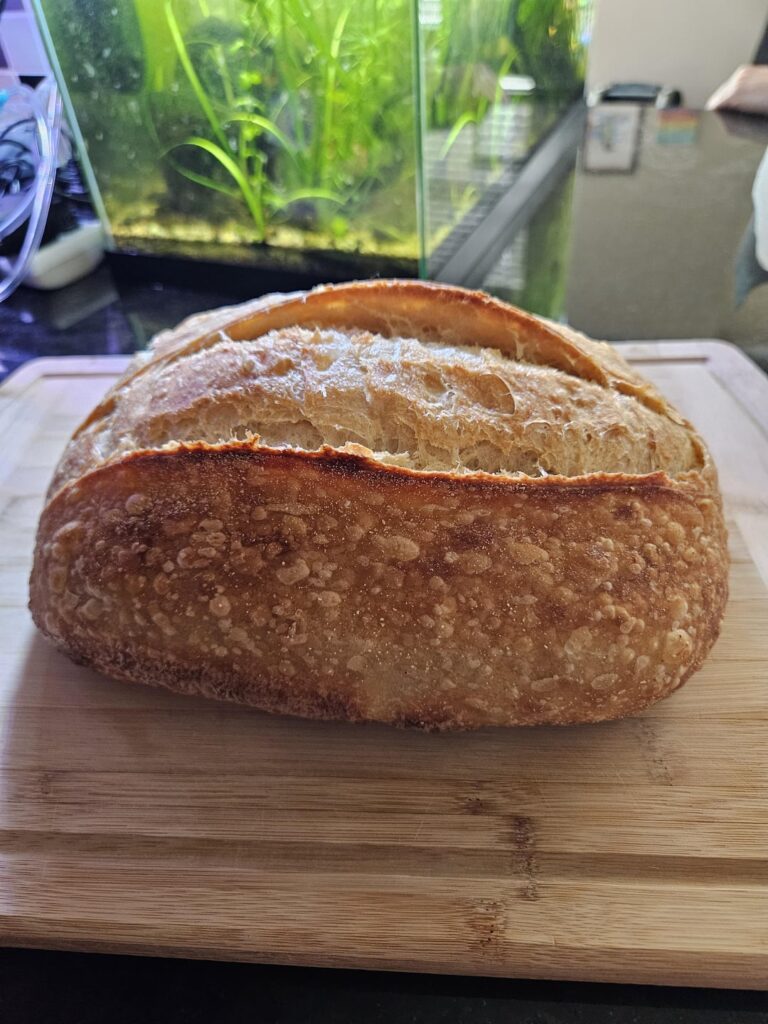 First successful loaf! 🍞🍞🍞🍞🍞🍞🍞🍞🍞 First successful loaf! 🍞🍞🍞🍞🍞🍞🍞🍞🍞