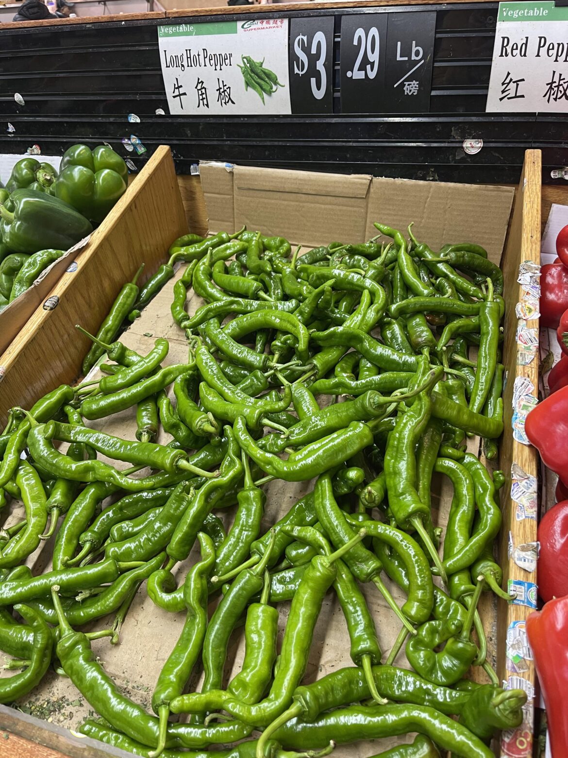 Would these have plantable seeds?