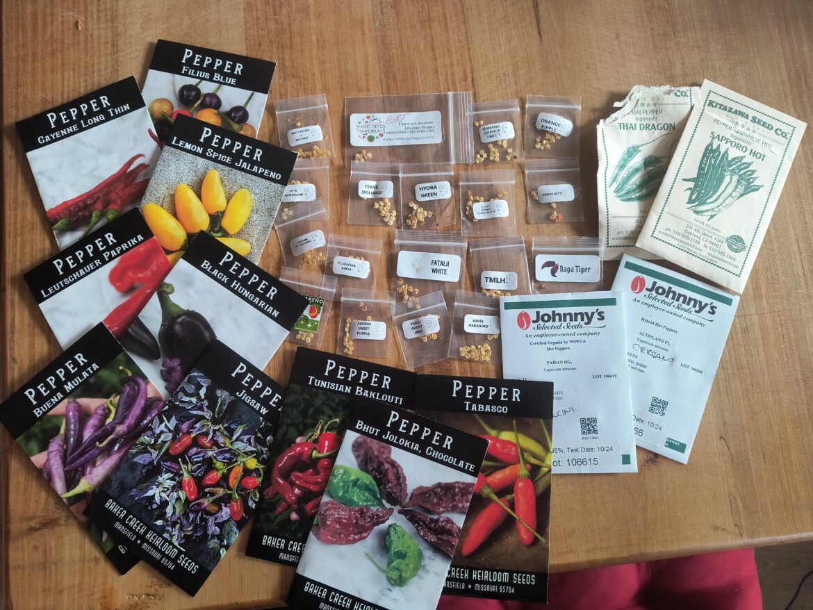 They Called Me A Madman.