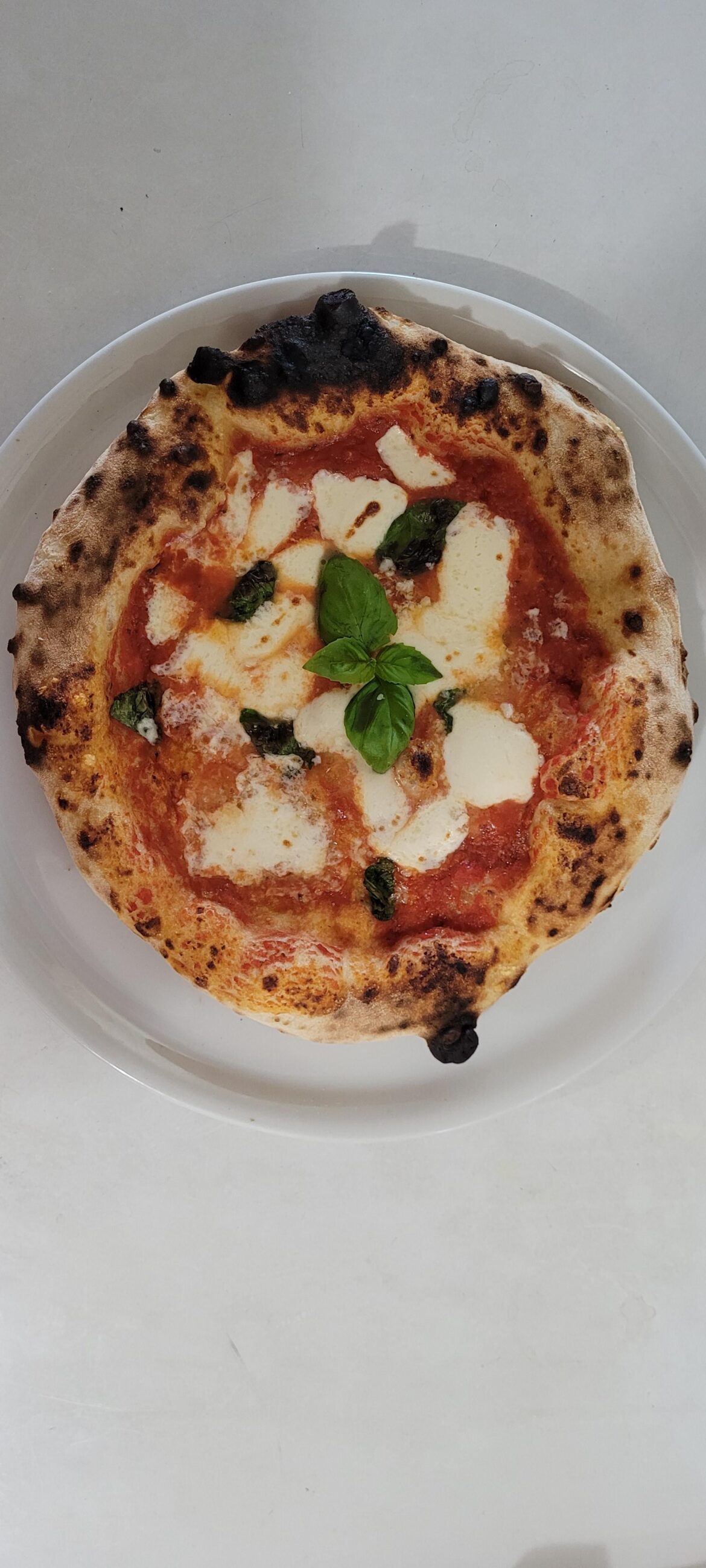 Margherita pizza